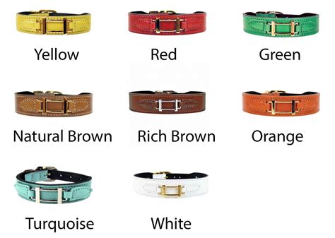 hermes dog collar replica|hermes dog collar and leash.